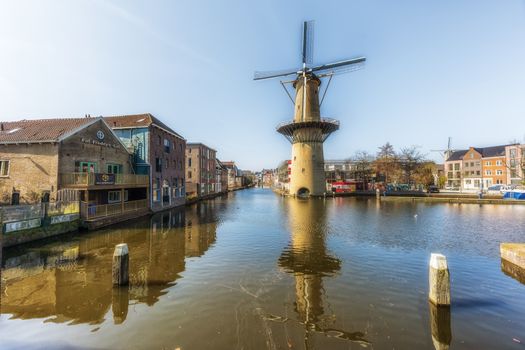 Lunchen in Schiedam: 7 gezellige en goedkope plekken voor elke trek