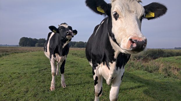 Boodschappen doen voor budget food in Groningen met goedkope groente, brood en aanbiedingen